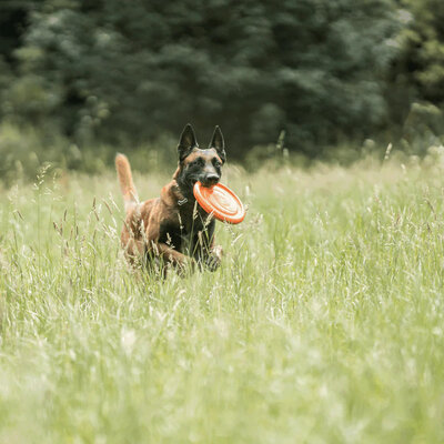 Lietajúci tanier, frisbee, plávajúci, 24cm, netoxický polymér, oranžová, HS