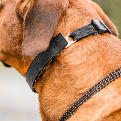 Kryt FLEXCOVER na ostnatý obojok 2.25mm, čierny, HS