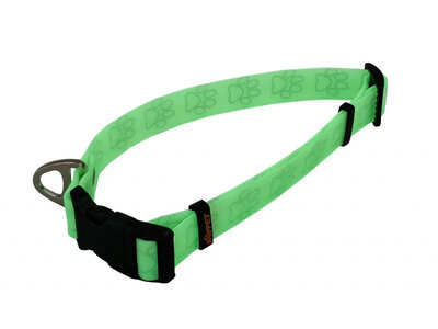 Obojok FOSFOR s potlačou labiek, 2cm/33-51cm, vodeodolný