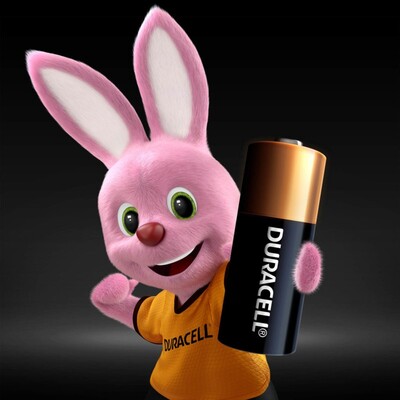 Batéria DURACELL Security Alkalická LR23 (2ks) 12V (MN21) 2BL