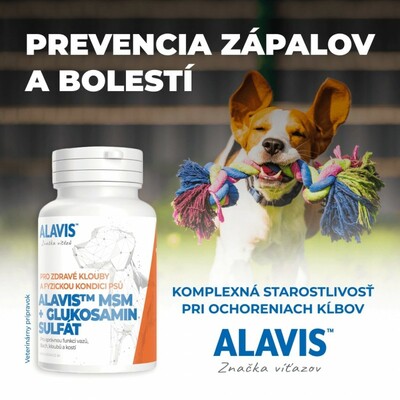 ALAVIS MSM + Glukosamin sulfát, pre správnu funkciu väzov, šliach, kĺbov a kostí, 60 tbl.