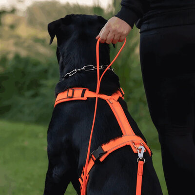Vodítko stopovacie s uškom pogumované, Footballgrip, 16mm/10m, nerezová karabína, oranžové