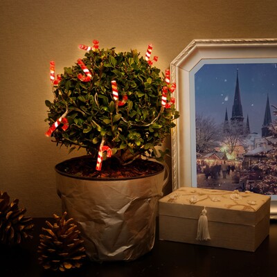 Led svetelná reťaz s 10x "Candy Canes" napájanými z 2xAA batériami IP20, 1.2m, červená/biela