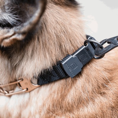 Obojok ostnatý ULTRA-PLUS 3.2mm/52cm, ClicLock, s popruhom, CUROGAN, HS