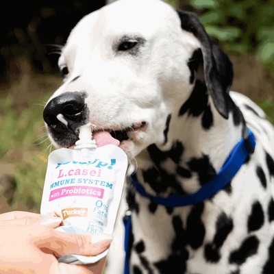 YowUp! Mrazený jogurt, slaninový koláč, 110g