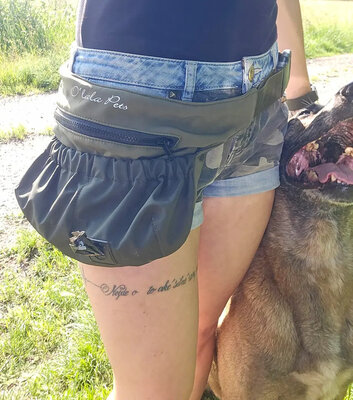 Výcviková kapsička/ladvinka na pamlsky, čierna/fialová