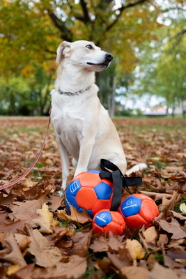 Lopta "futbalová" s priemerom 10cm, s uškom, ekokoža, oranžová/modrá