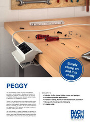 BACHMANN Flyer PEGGY